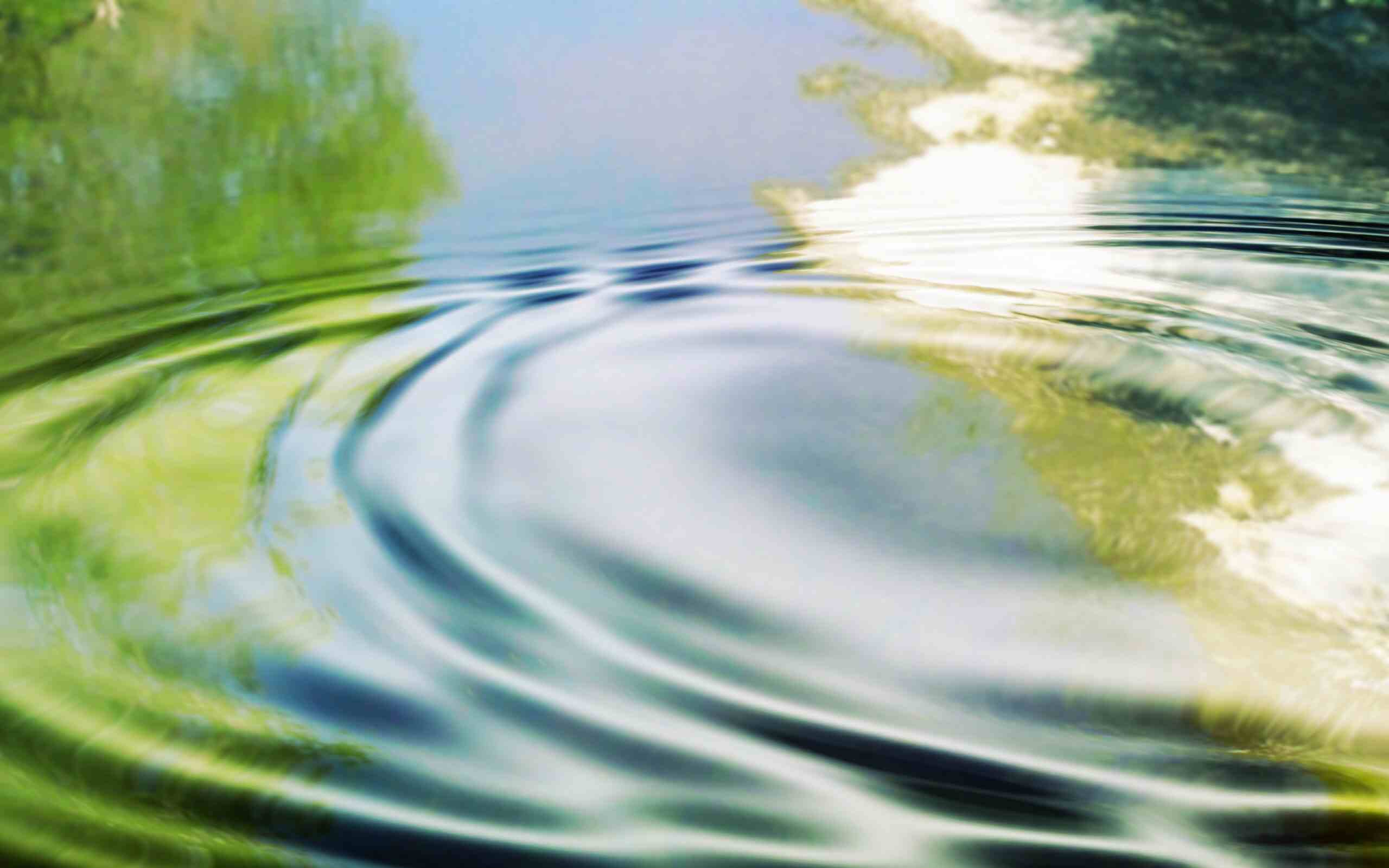 Water credit — Nicholls Water Solutions