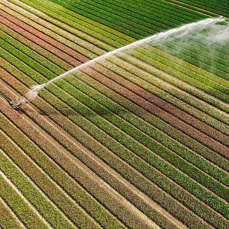 Irrigation system supplied by a Nicholls Water borehole