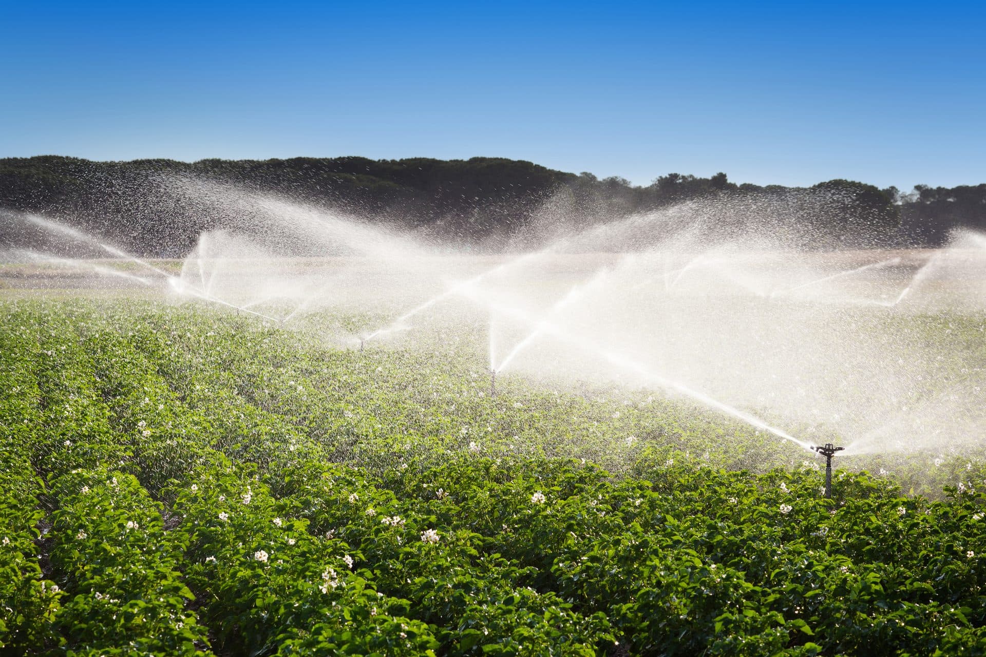 Water well and irrigation system — Nicholls Water Solutions